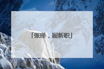 张瑾，履新职