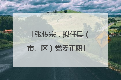 张传宗，拟任县（市、区）党委正职