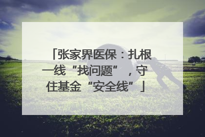 张家界医保：扎根一线“找问题”，守住基金“安全线”