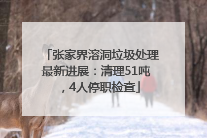 张家界溶洞垃圾处理最新进展：清理51吨，4人停职检查