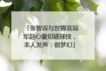 张智霖与世锦赛冠军赵心童切磋球技，本人发声：很梦幻