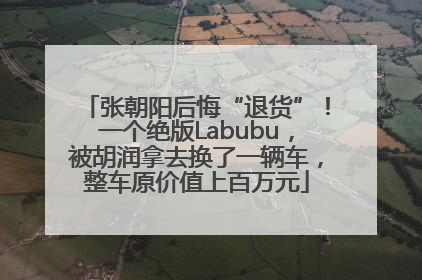张朝阳后悔“退货”！一个绝版Labubu，被胡润拿去换了一辆车，整车原价值上百万元