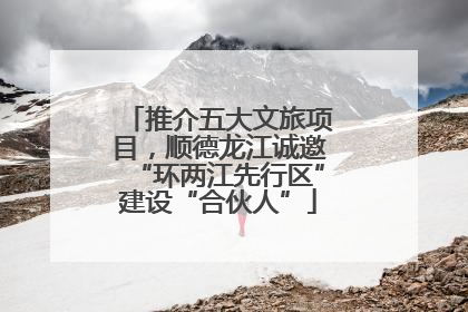 推介五大文旅项目，顺德龙江诚邀“环两江先行区”建设“合伙人”