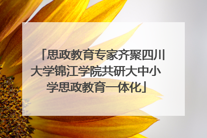 思政教育专家齐聚四川大学锦江学院共研大中小学思政教育一体化