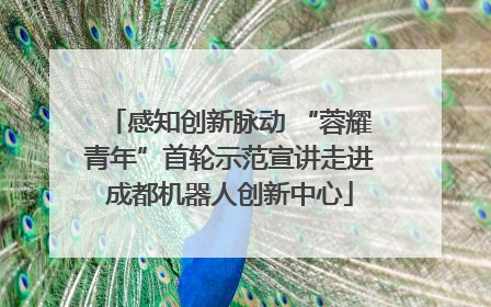 感知创新脉动 “蓉耀青年”首轮示范宣讲走进成都机器人创新中心