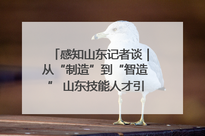 感知山东记者谈｜从“制造”到“智造” 山东技能人才引领产业升级