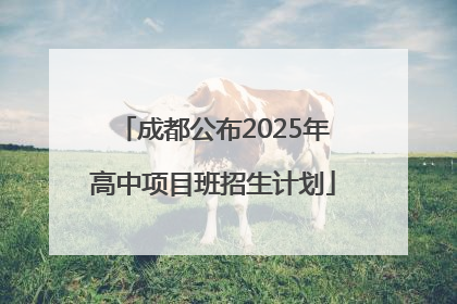 成都公布2025年高中项目班招生计划