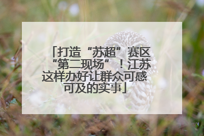 打造“苏超”赛区“第二现场”！江苏这样办好让群众可感可及的实事