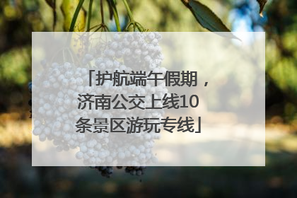 护航端午假期，济南公交上线10条景区游玩专线