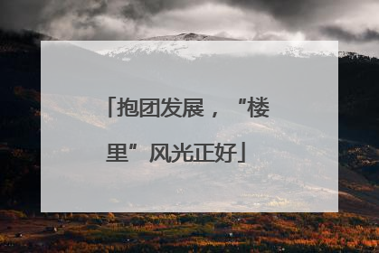 抱团发展，“楼里”风光正好