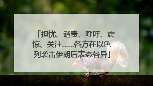 担忧、谴责、呼吁、震惊、关注……各方在以色列袭击伊朗后表态各异