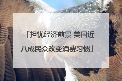 担忧经济前景 美国近八成民众改变消费习惯