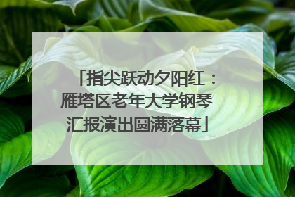 指尖跃动夕阳红：雁塔区老年大学钢琴汇报演出圆满落幕