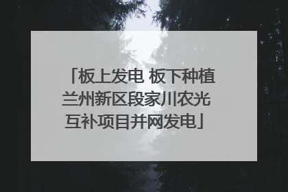 板上发电 板下种植 兰州新区段家川农光互补项目并网发电