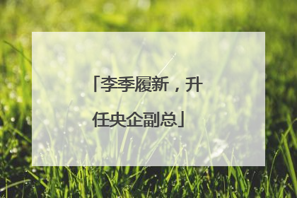 李季履新，升任央企副总