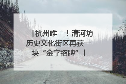 杭州唯一！清河坊历史文化街区再获一块“金字招牌”