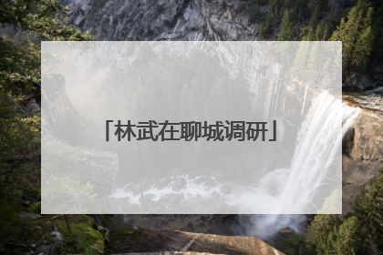 林武在聊城调研