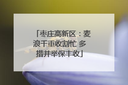 枣庄高新区：麦浪千重收割忙 多措并举保丰收