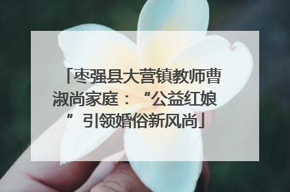 枣强县大营镇教师曹淑尚家庭：“公益红娘”引领婚俗新风尚