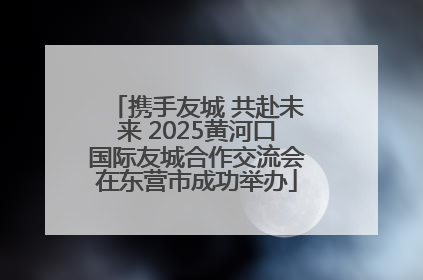 携手友城 共赴未来 2025黄河口国际友城合作交流会在东营市成功举办