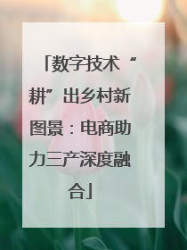 数字技术“耕”出乡村新图景：电商助力三产深度融合
