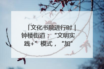 文化书院进行时｜钟楼街道：“文明实践+”模式，“加”出百姓幸福感