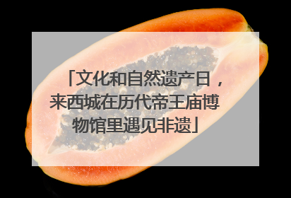 文化和自然遗产日，来西城在历代帝王庙博物馆里遇见非遗