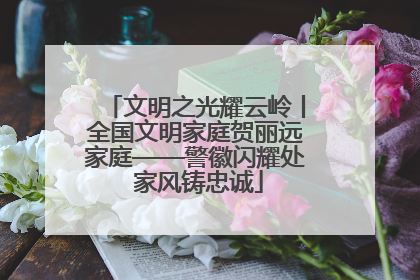 文明之光耀云岭丨全国文明家庭贺丽远家庭——警徽闪耀处 家风铸忠诚