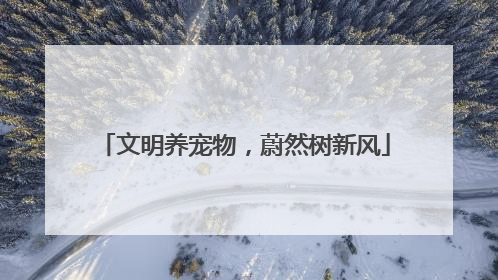 文明养宠物，蔚然树新风