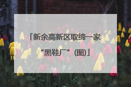 新余高新区取缔一家“黑鞋厂”(图)