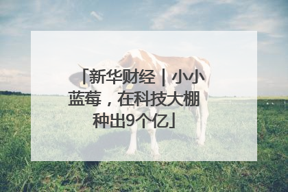 新华财经｜小小蓝莓，在科技大棚种出9个亿