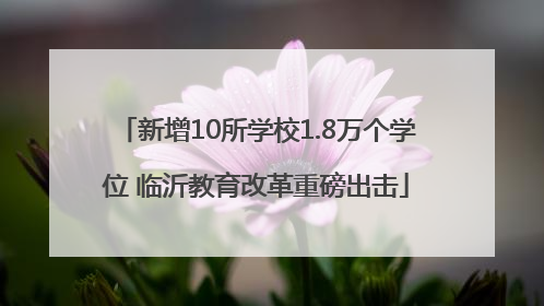 新增10所学校1.8万个学位 临沂教育改革重磅出击