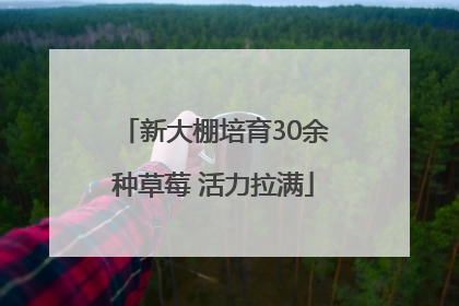 新大棚培育30余种草莓 活力拉满