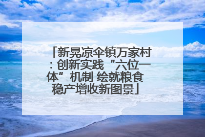 新晃凉伞镇万家村：创新实践“六位一体”机制 绘就粮食稳产增收新图景