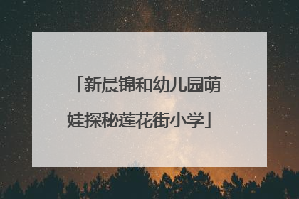 新晨锦和幼儿园萌娃探秘莲花街小学