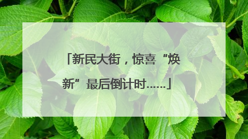 新民大街，惊喜“焕新”最后倒计时……