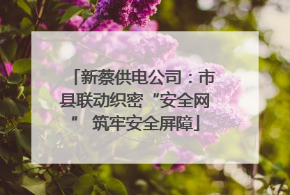 新蔡供电公司：市县联动织密“安全网” 筑牢安全屏障