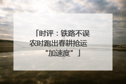 时评：铁路不误农时跑出春耕抢运“加速度”