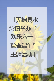 无棣县水湾镇举办“欢乐六一·粽香端午”主题活动
