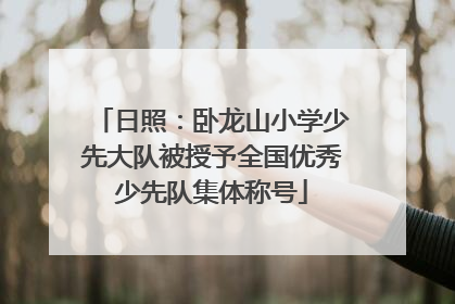 日照：卧龙山小学少先大队被授予全国优秀少先队集体称号