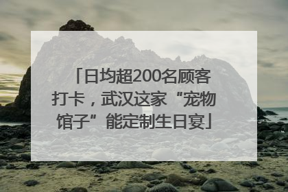 日均超200名顾客打卡，武汉这家“宠物馆子”能定制生日宴