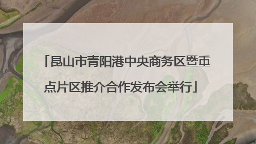 昆山市青阳港中央商务区暨重点片区推介合作发布会举行