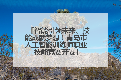智能引领未来、技能成就梦想！青岛市人工智能训练师职业技能竞赛开赛