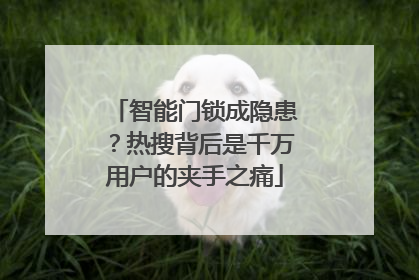 智能门锁成隐患？热搜背后是千万用户的夹手之痛