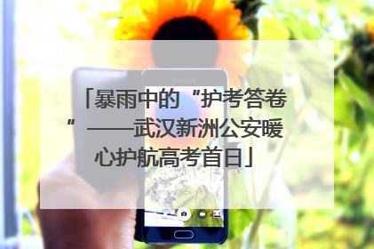 暴雨中的“护考答卷”——武汉新洲公安暖心护航高考首日