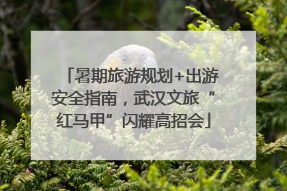 暑期旅游规划+出游安全指南，武汉文旅“红马甲”闪耀高招会