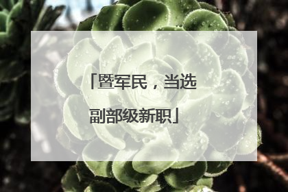 暨军民，当选副部级新职