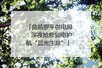 曲靖罗平供电局：深夜抢修复电护航“晨光生意”