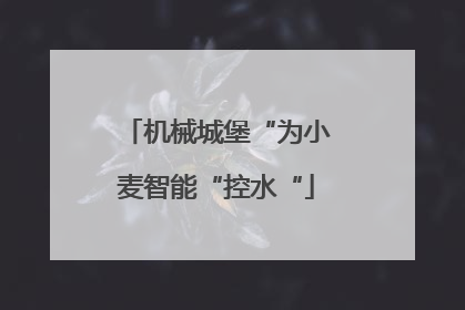 机械城堡“为小麦智能“控水“