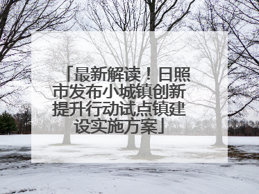 最新解读！日照市发布小城镇创新提升行动试点镇建设实施方案